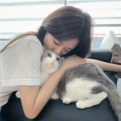 曼谷同志故事