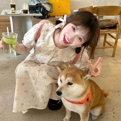 最后的疯狂